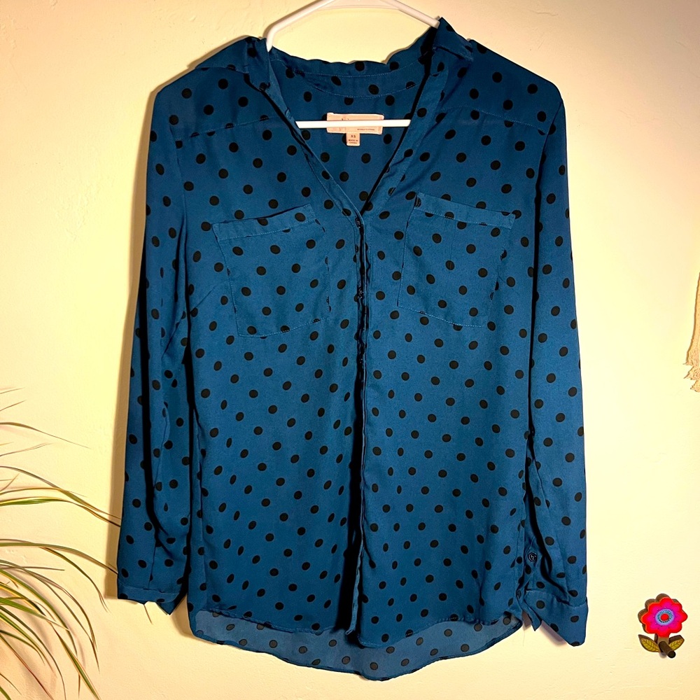 Royal Blue Mesh Polka Dot Women's Button-up Blouse